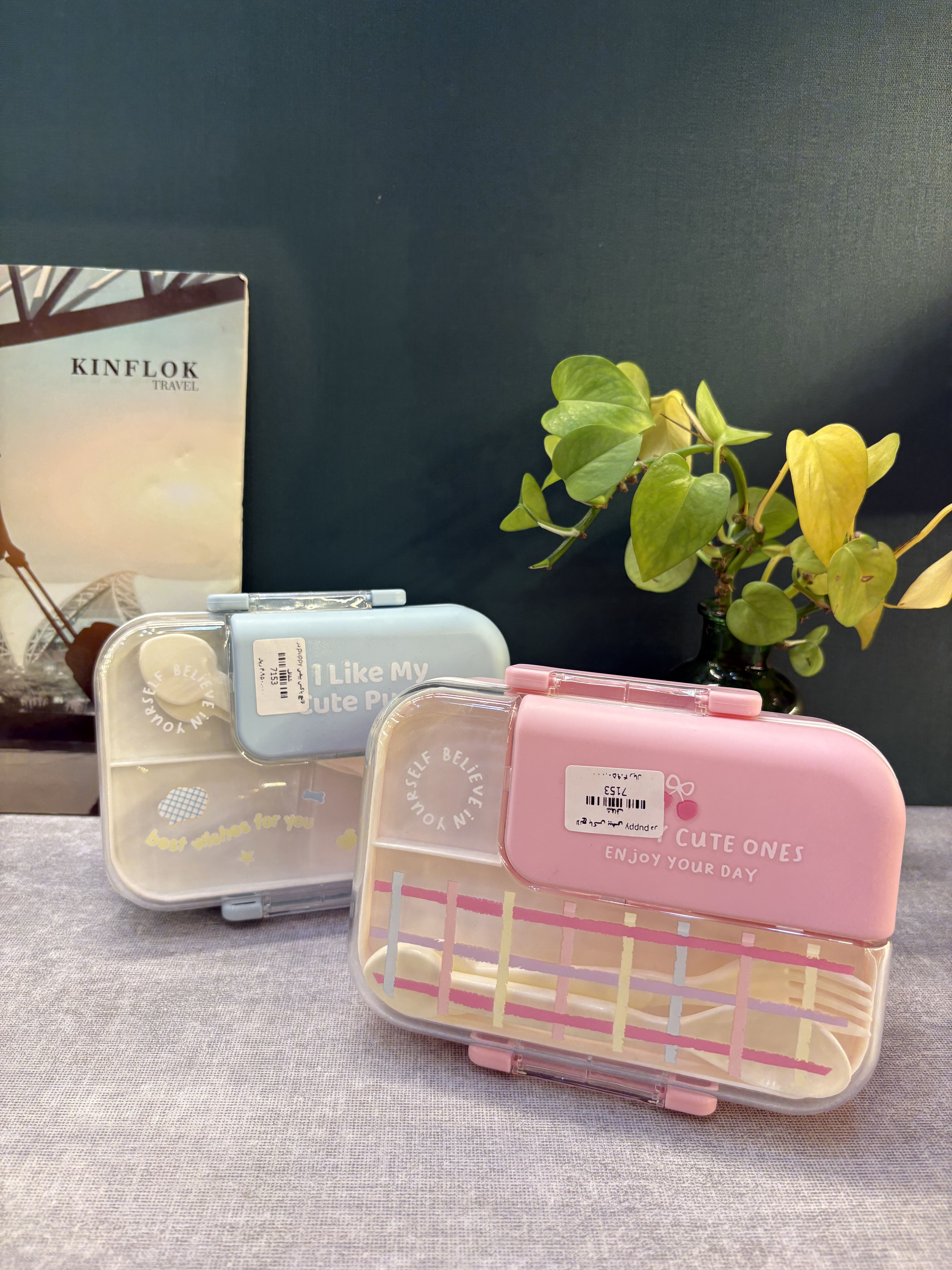 لانچ باکس بیضی pnppy